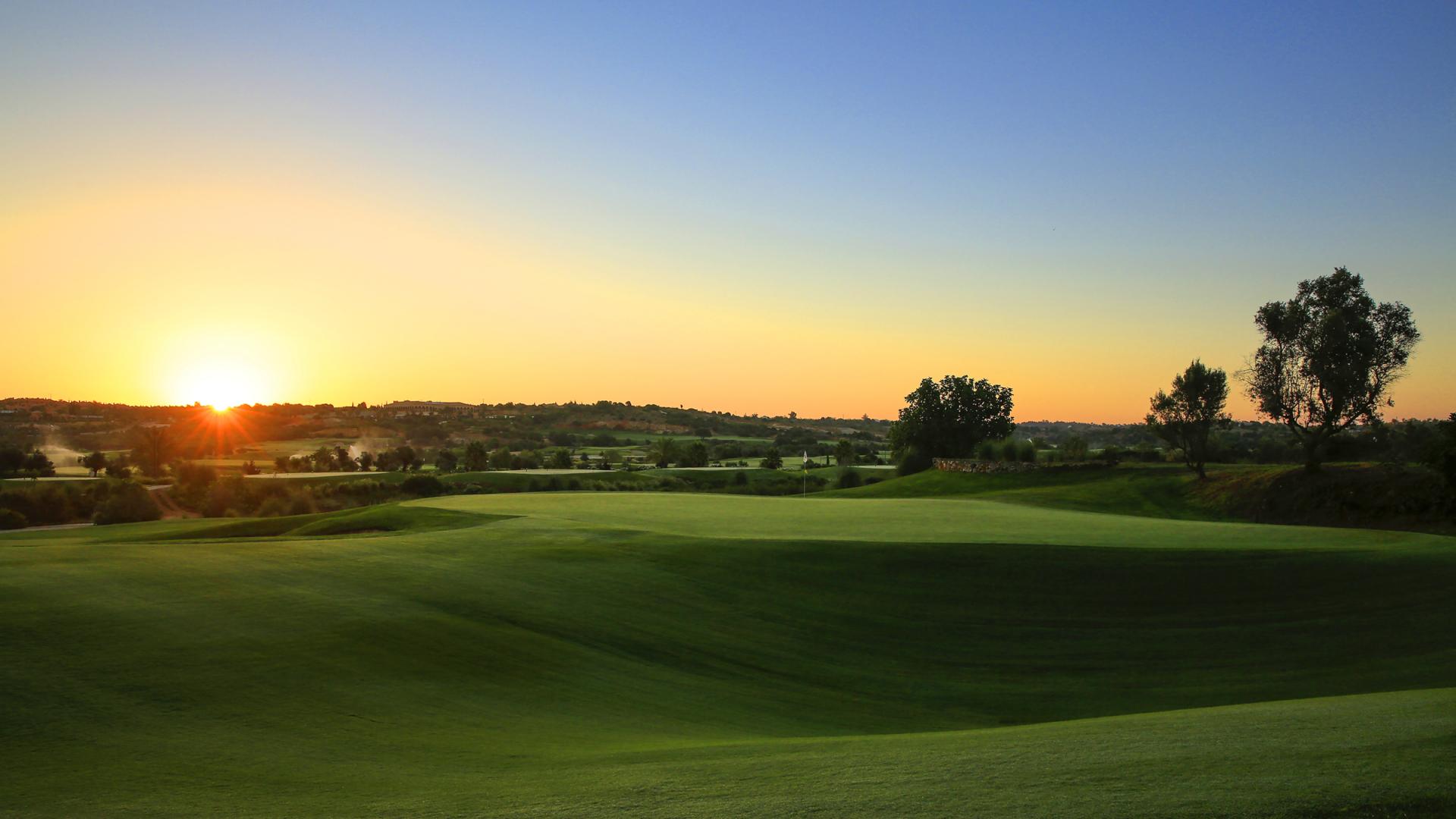 Termos & Condições