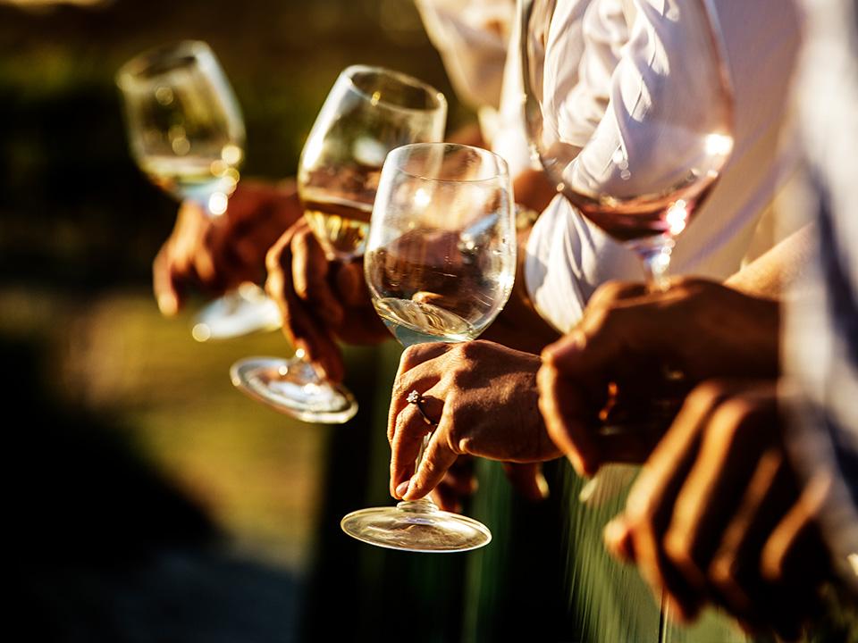 Degustação de vinhos