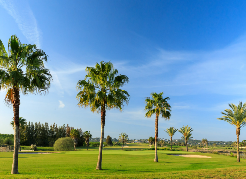 Pacote Especial de Páscoa